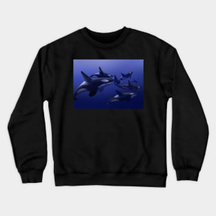 Orcinus Orca Crewneck Sweatshirt